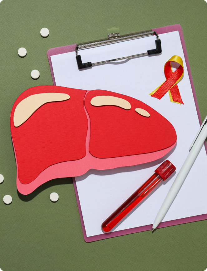 A paper cutout of a human liver is placed on a clipboard with a pen. Next to it is a test tube with a red liquid and a red and yellow ribbon, representing liver health awareness. Several white pills are scattered around the clipboard.