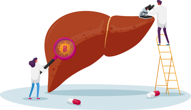 Two tiny researchers in lab coats examine a large, stylized liver. One researcher uses a magnifying glass to look at the letter 'B' on the liver, while the other looks through a microscope from a ladder. Two pills are on the ground in front of the liver.