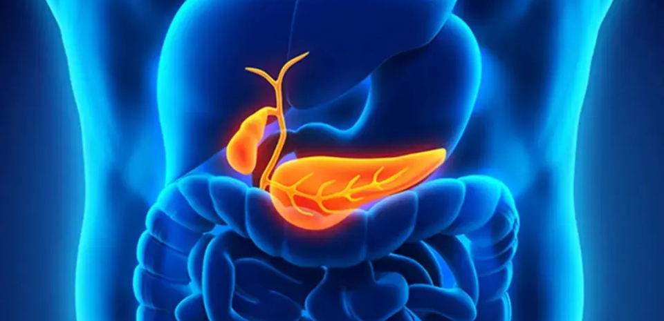 Liver Care Center – Dr. Muhammad Zakria (Liver Specialist in Lahore) Liver Care Center – Dr. Muhammad Zakria (Liver Specialist in Lahore)