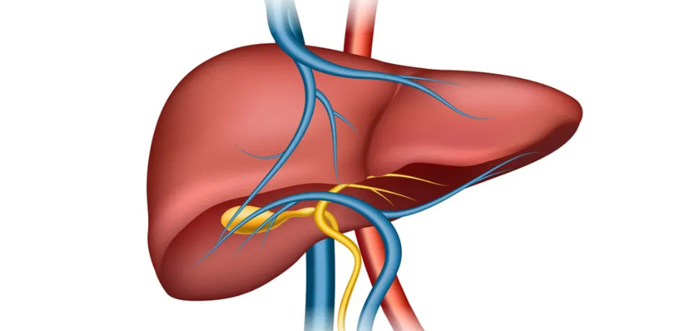 Liver Care Center – Dr. Muhammad Zakria (Liver Specialist in Lahore) Liver Care Center – Dr. Muhammad Zakria (Liver Specialist in Lahore)