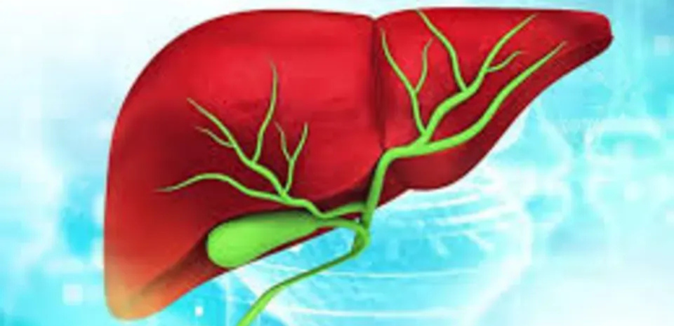 Liver Care Center – Dr. Muhammad Zakria (Liver Specialist in Lahore) Liver Care Center – Dr. Muhammad Zakria (Liver Specialist in Lahore)