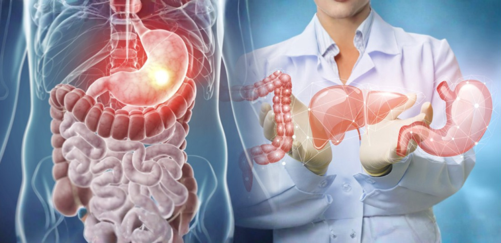 “Digestive system showing liver pancreas and gastrointestinal organs for HPB surgery”