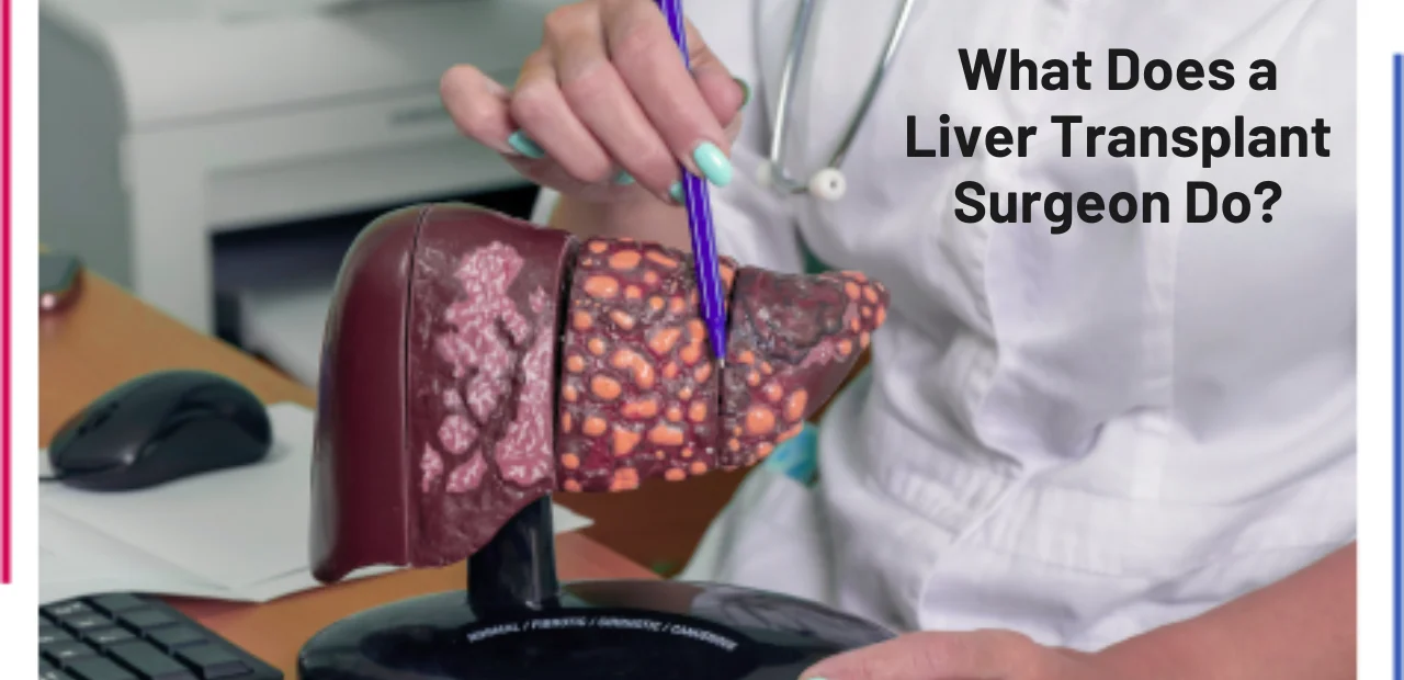 What Does a Liver Transplant Surgeon Do