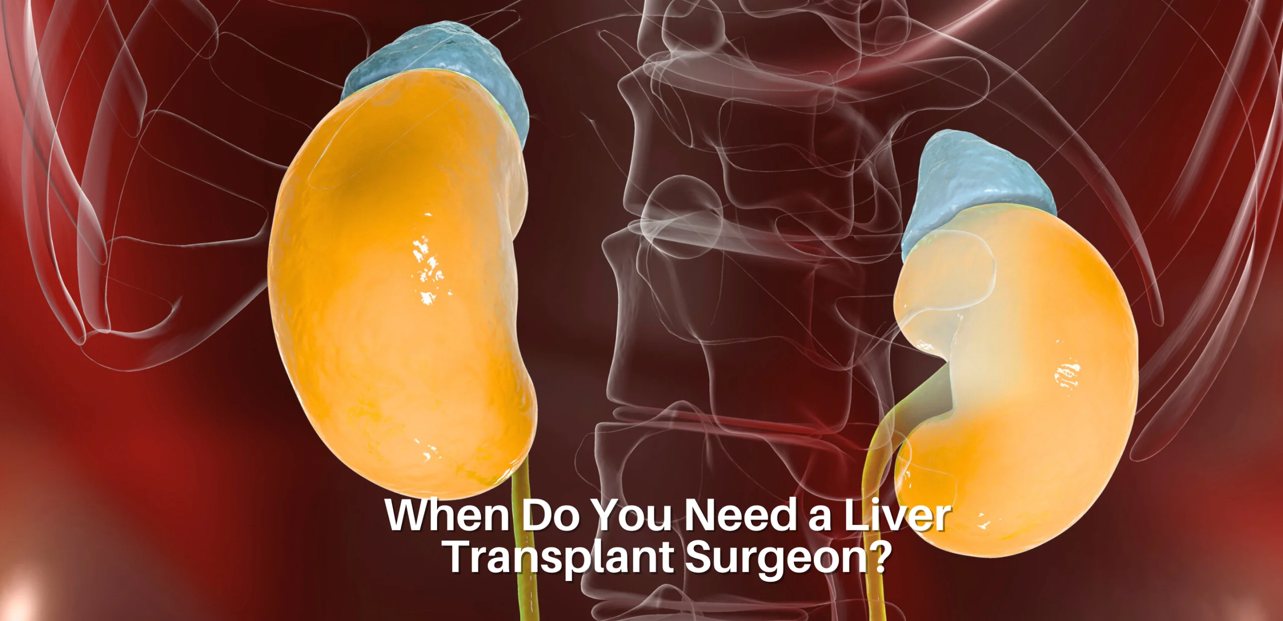 When Do You Need a Liver Transplant Surgeon